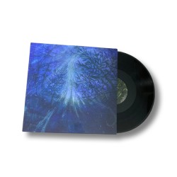 Tetrasigil - Forest Storm LP