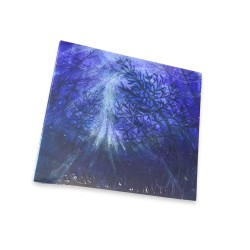 Tetrasigil - Forest Storm CD